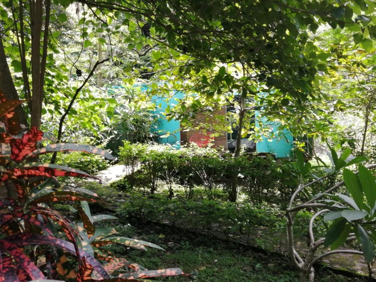 Casa Rural Aroma De Campo Curubande Экстерьер фото