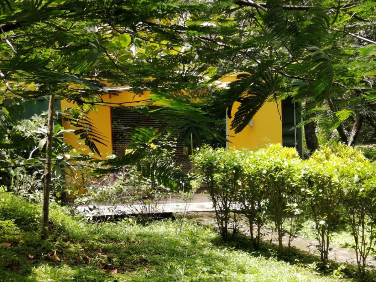 Casa Rural Aroma De Campo Curubande Экстерьер фото